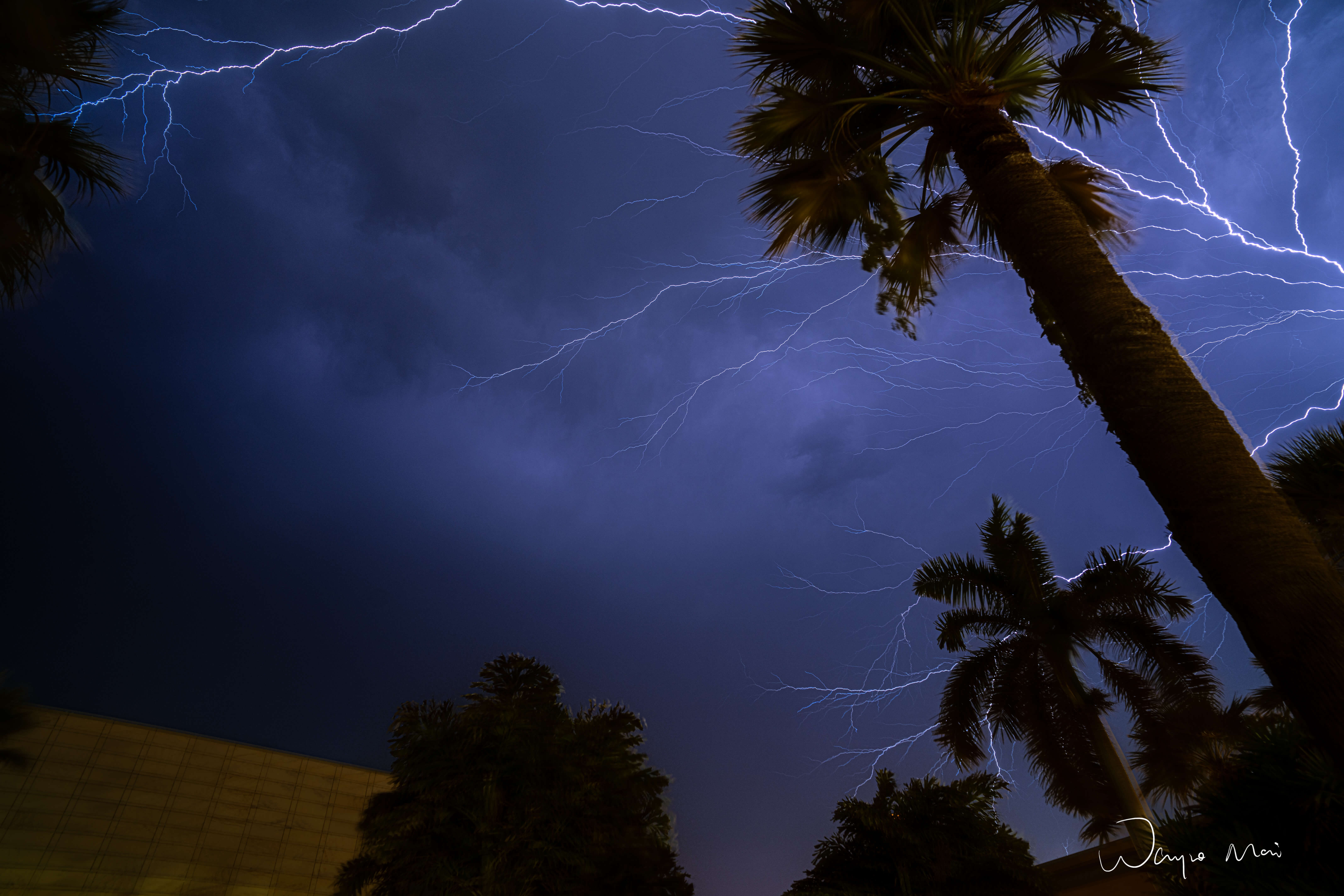 Thunder