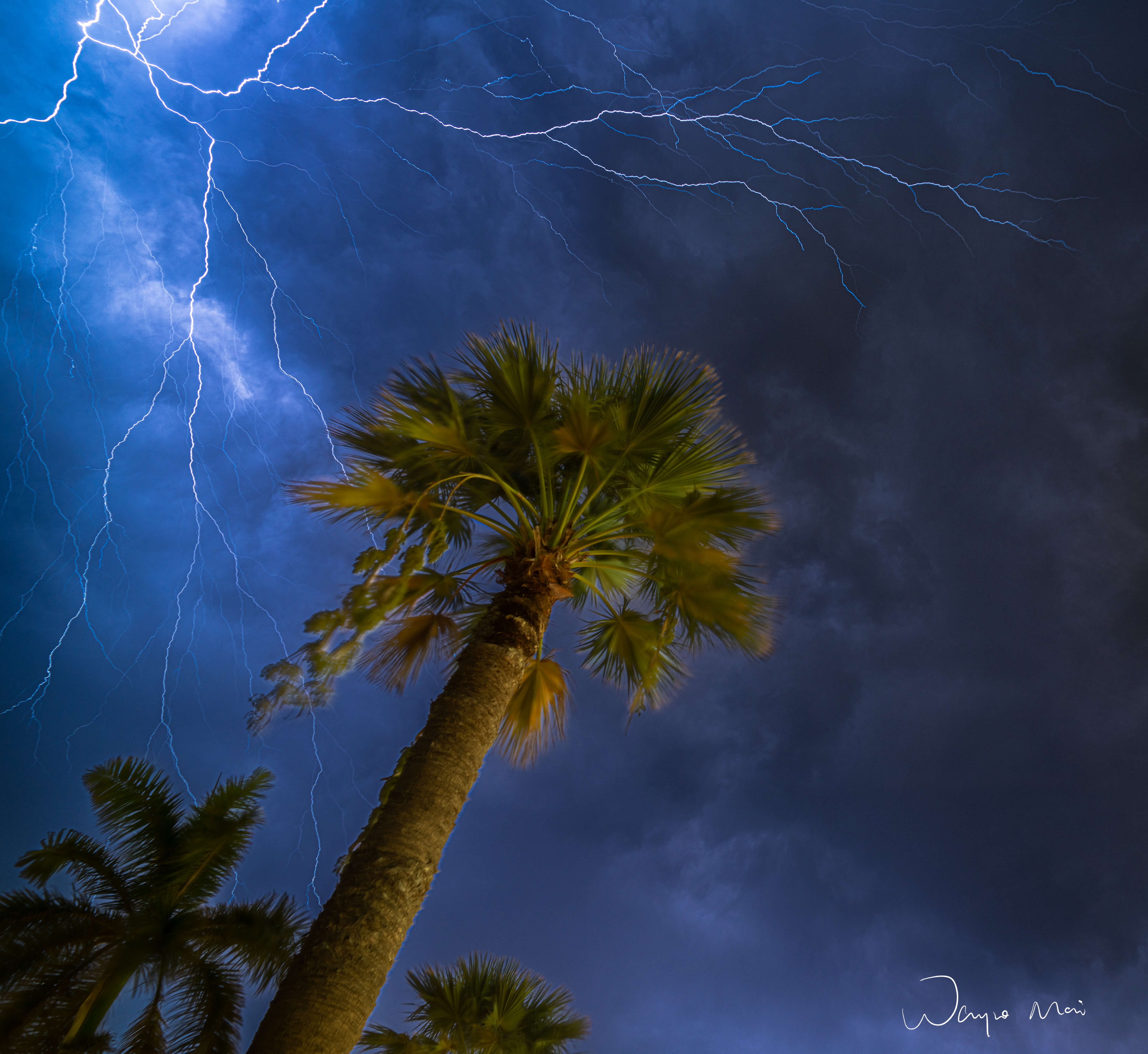 Thunder