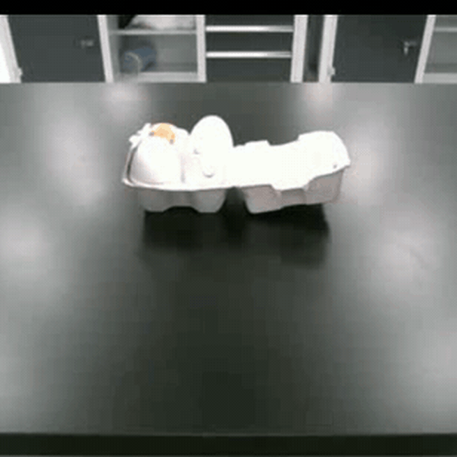ContextFlow: In-Context Flow Matching for Robot Manipulation